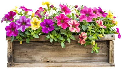 Wooden planter box filled with green plants isolated on a transparent background.