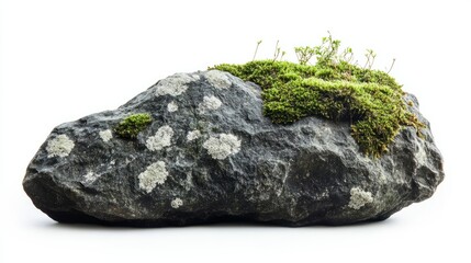 Fototapeta premium Green moss on stone, isolated on white background 