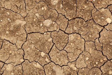 Texture of the dried earth with clay and sand close up or brown dry soil or cracked ground texture background. The theme of ecology and global warming