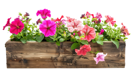 Wooden planter box filled with various green plants isolated on a transparent background.