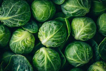 Fototapeta premium Close-up of brussel sprouts