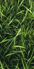 Fototapeta premium Vibrant Green Meadow. Close-up of Fresh Tall Grass in Natural Spring Environment