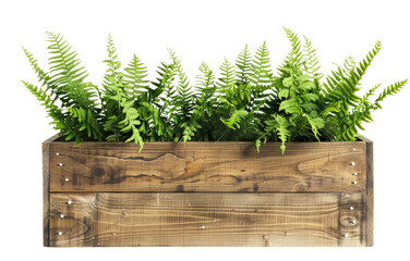 Wooden planter box filled with various green plants isolated on a transparent background.