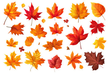 Elegant vector  of simplified leaves in vibrant autumn colors
