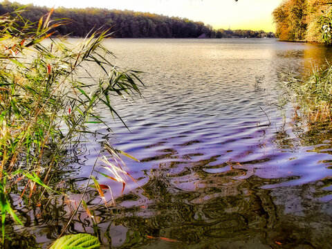 Ein See am Morgen im Herbst in der Uckermark