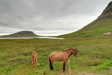 montagne Kirkjufell en Islande située à Grundarfjordur
