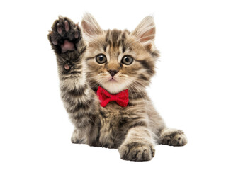 Obraz premium Adorable tabby cat with red bow tie raising paw on transparent background.