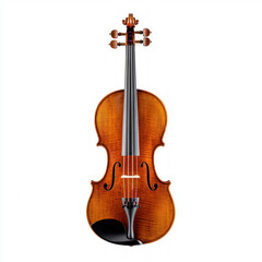 Fototapeta premium Violin Isolated