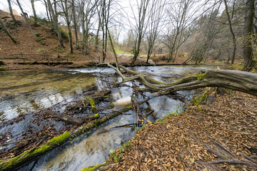 Naklejka premium Nad Tanwia nature reserve - Roztocze, Poland.