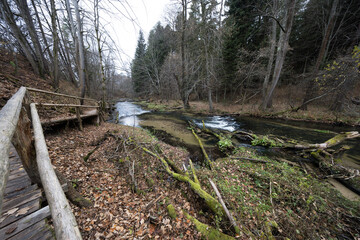 Naklejka premium Nad Tanwia nature reserve - Roztocze, Poland.