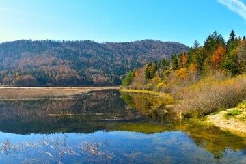 Shore of Cerkniško jezero lake with autumn orange and yellow foliage in Notranjska, Slovenia