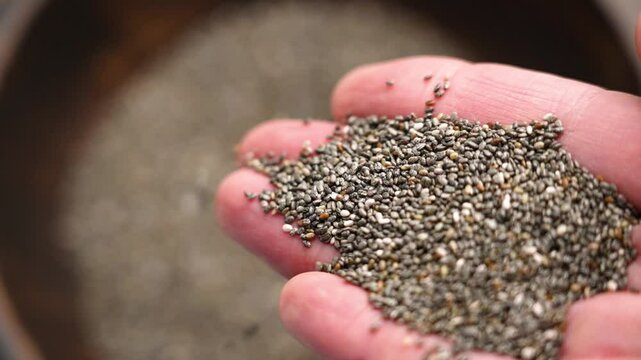 Dried chia seeds spilling from a hand close up. Superfood ingredient. Slow motion