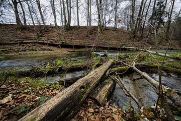 Obraz premium Nad Tanwia nature reserve - Roztocze, Poland.