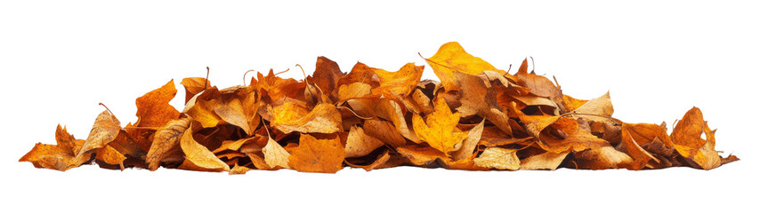 Pile of autumn leaves, isolated on white background