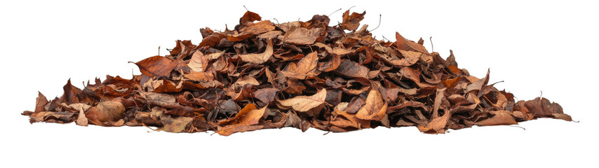 Fototapeta premium Pile of autumn leaves, isolated on white background