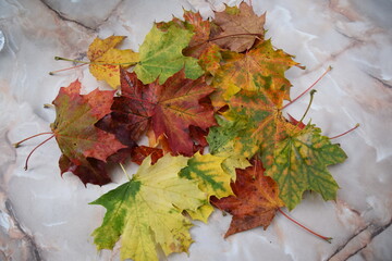 herbstlaub