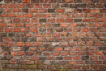 Close-up of weathered red brick wall with visible textures and irregularities.