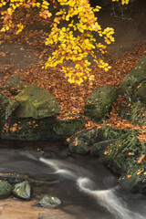 Stunning colorful Autumn Fall landscape during misty morning in Padley Gorge in Peak District