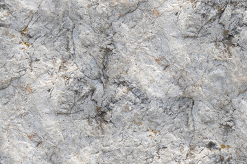 Fototapeta premium Seamless stone texture with natural cracks and rough surface details.