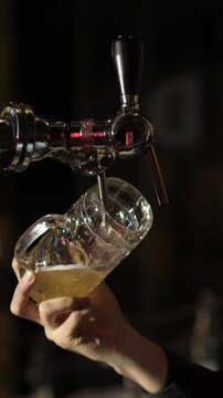 Bartender pouring beer at the bar. Close up hands	

