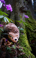 Plushy hedgehog hidden in the Pieniny Mountains' forest