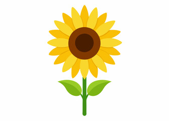 Minimalist Bright Yellow Sunflower Illustration with Green Leaves. sunflower vector illustration, white background