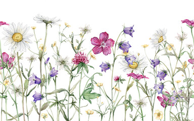 Seamless border with watercolor illustrations floral with meadow and forest flowers. Botanical summer illustration chamomile, geranium, bluebell, clover. Hand painted drawing isolated on background.