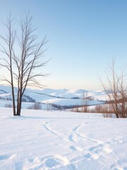 Fototapeta premium Empty snowy landscape with bare trees and soft rolling hills in the distance, cold