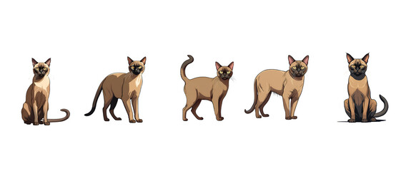 Burmese Cat - Sleek, Elegant Feline with a Gentle Personality, Burmese, cat, feline, pet, animal, exotic, sleek