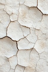 Obraz premium Cracked white surface showing texture in a parched environment