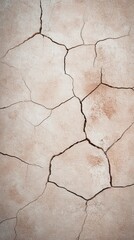 Obraz premium Cracked earth showing signs of drought in a dry landscape