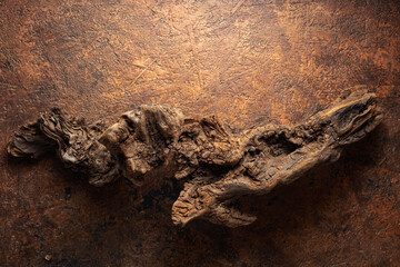 Dried wooden snags on the brown vintage background.
