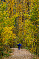 Paisaje Cuenca Espa&ntilde;a en Oto&ntilde;o