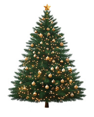 Fototapeta premium Elegant Christmas Tree - Traditional and Gold Decorations