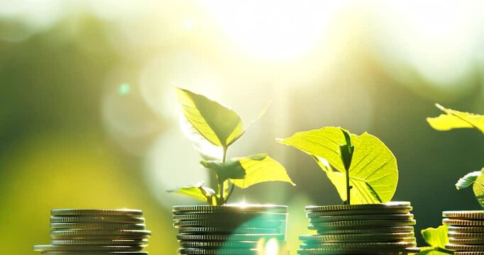 A close-up shot of several neatly stacked coins, with small green plants sprouting from the top of each stack. The background is a soft blur of sunlit greenery.