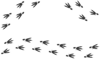 Vector trail print of bird isolated on white background. Penguin tracks.  Footprint silhouette tracks of Penguin. Paw Print. Vector illustration. EPS10.