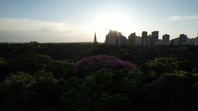 Vista A&eacute;rea da cidade de Maring&aacute;, Parana, Brasil. Parque do Ing&aacute; em Maring&aacute;.