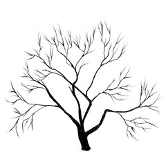An old sprawling bare apple tree with many branches. Monochrome isolated illustration on white background