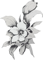 Drawing of a black and white flower with leaves in white a background