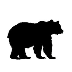 bear silhouette vector