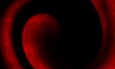 red and black gradient, red black gradient, black and red gradient, black red gradient, bstract, background, red, black, color