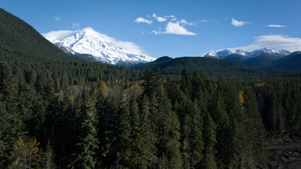 A scenic view of Mount Rainier's snowy summit framed by a lush evergreen forest under a clear blue sky.