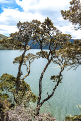 Emerald green mountain lake surrounded by trees in Potatso National Park, Shangri La, Yunnan, China, Asia