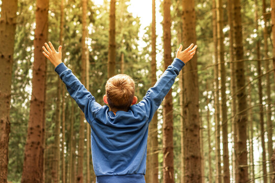 Happy child in nature forest feeling free and adventurous 