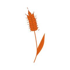 Simple hand drawn wheat. Wheat icon vector on white background.