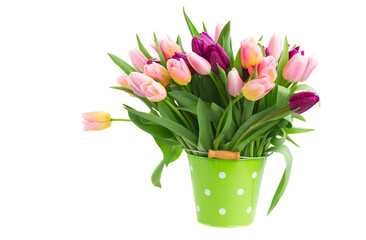 pink and violet tulips in pot