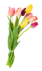 Posy of tulips flowers