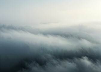 Fototapeta premium Enchanted Woodland Veil: Ethereal Mist & Mystical Depth