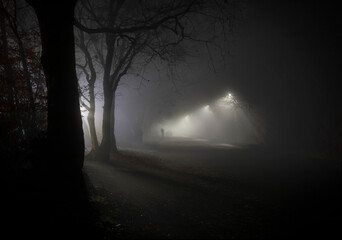 Silhouette of Solitary Person Walking alone Down Foggy Road With Street Lights and Autumn Trees