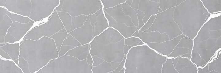 Obraz premium luxurious grey marble background with fine white veins perfect for elegant designs, white veins, texture